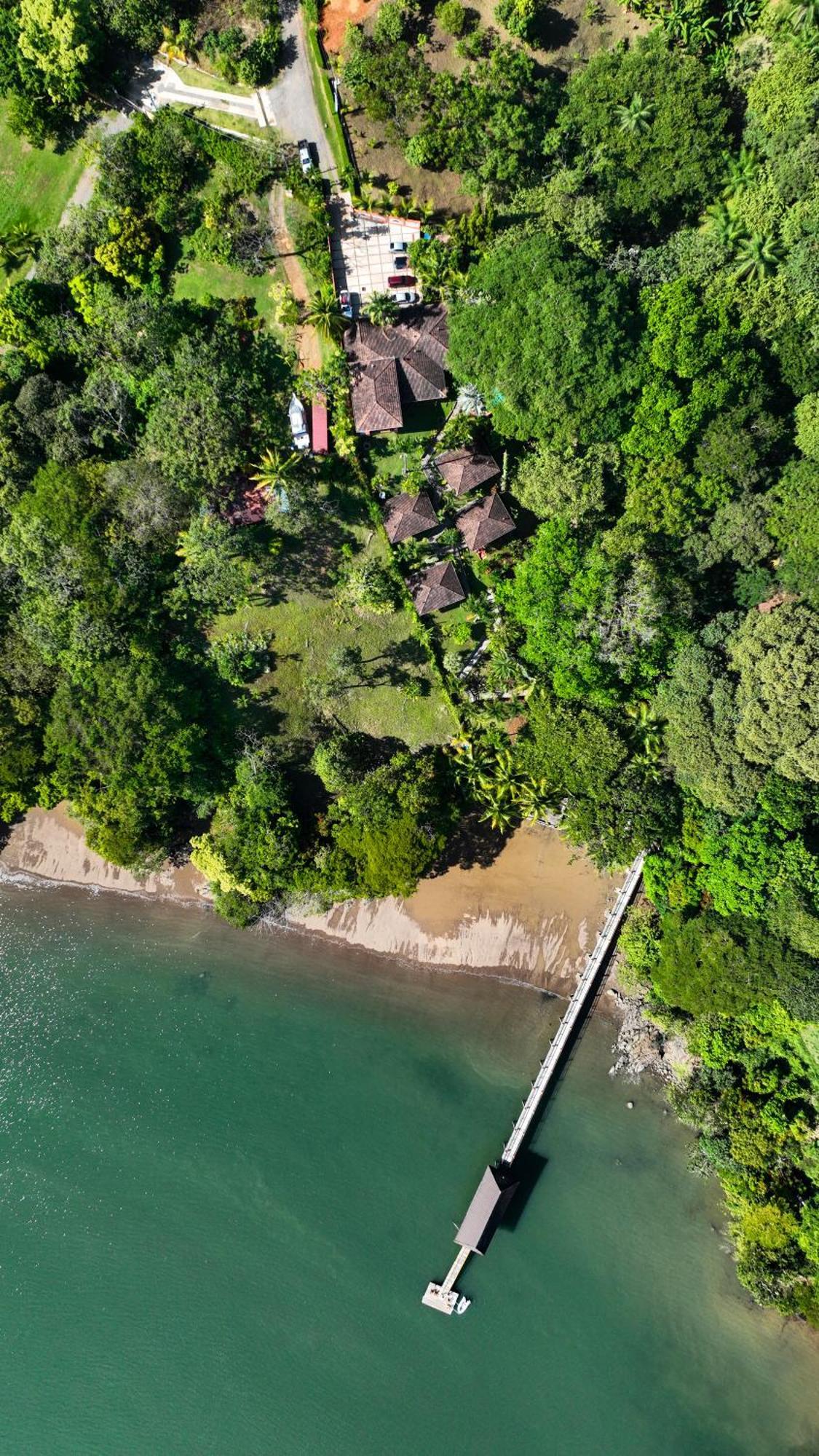 Seagull Cove Resort Бока-Чика Экстерьер фото